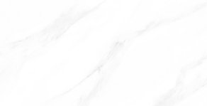 Negro-2