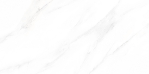 Negro-6
